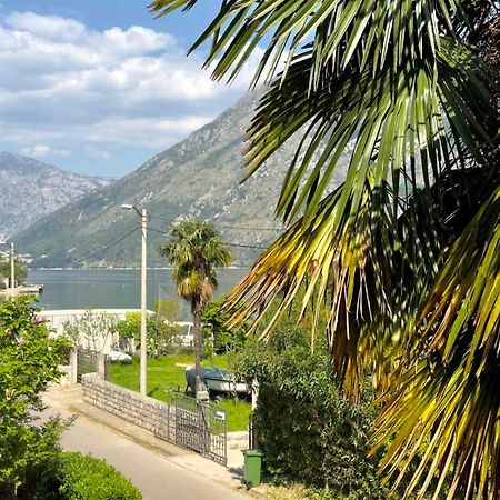 Apartments Asya Kotor Exterior photo