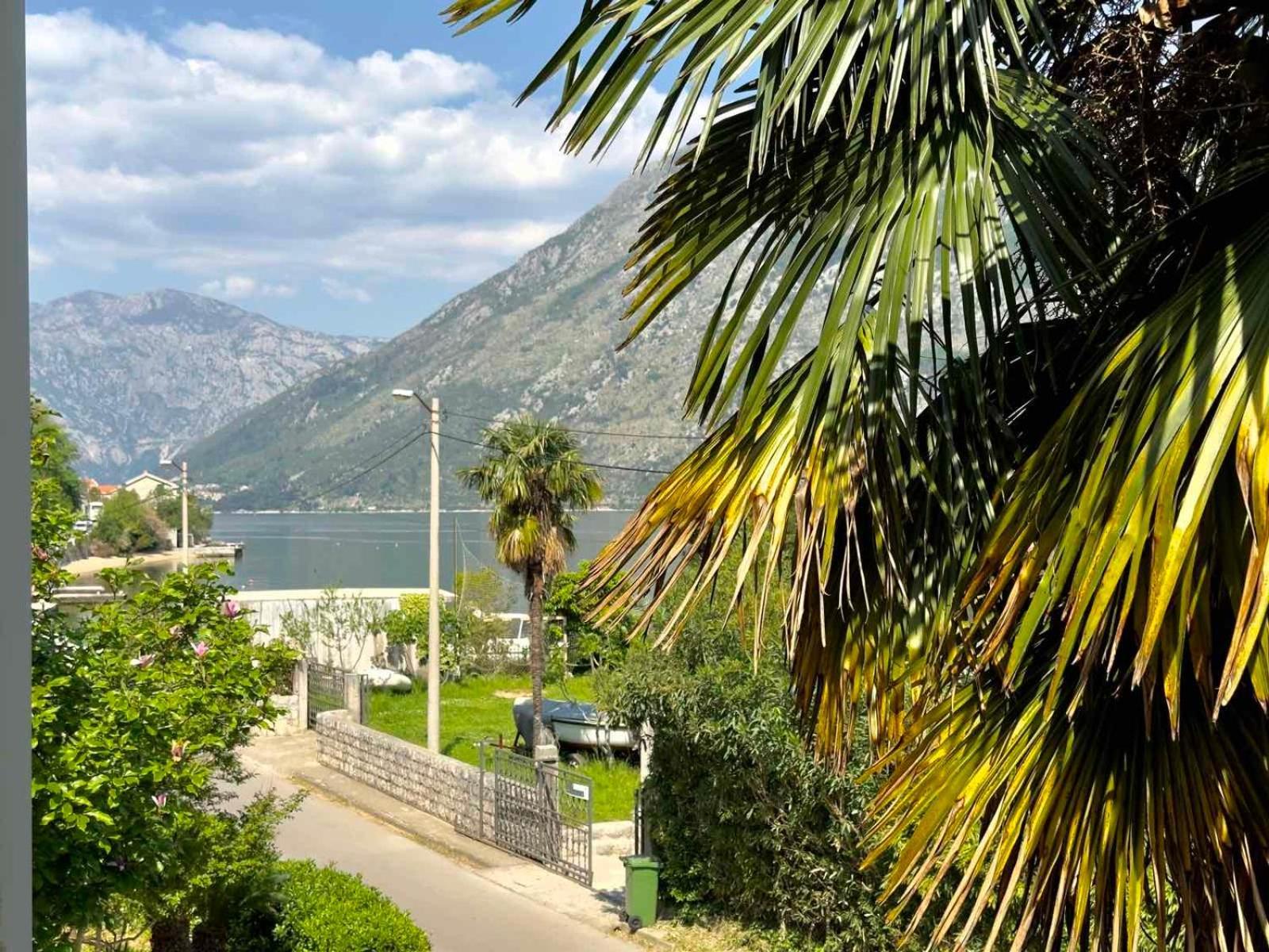 Apartments Asya Kotor Exterior photo